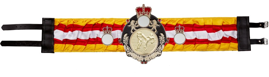 QUEENSBURY KICKBOXING SILK CHAMPIONSHIP BELT - QUEEN/B/KBOG/SILK - AVAILABLE IN 6 COLOURS